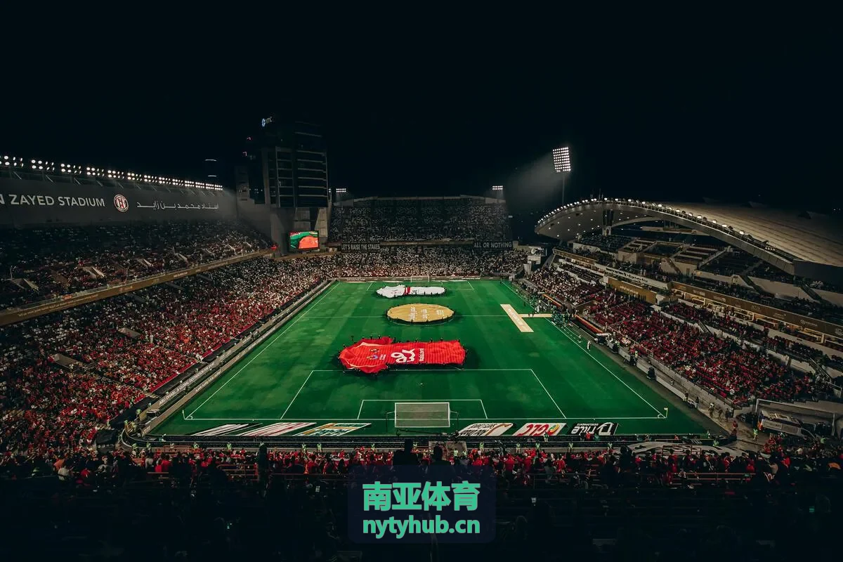 南亚体育数据分析